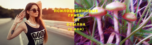 крисы Горняк