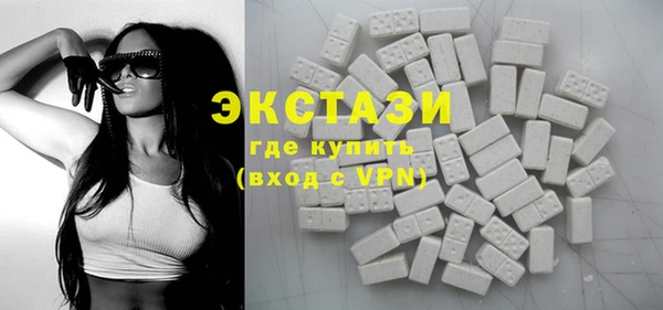 мдпв Гусев