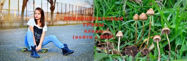 спайс Карталы